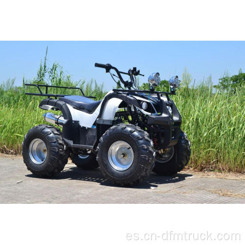 Hot Selling ATV 110/125cc Quad Bikes